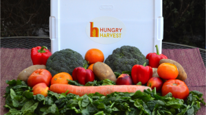 Photo courtesy: Hungry Harvest